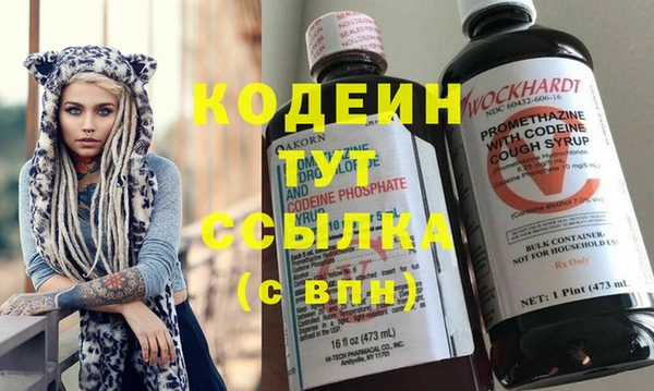 крисы Медвежьегорск
