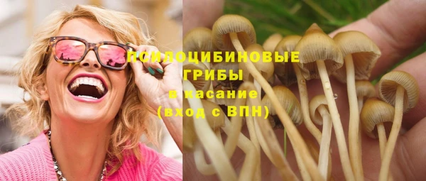 jwh Абаза