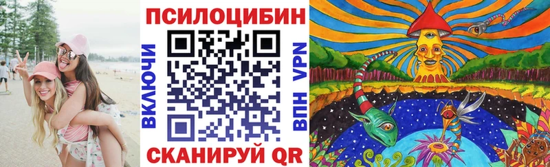 kraken как зайти  Саранск  Псилоцибиновые грибы GOLDEN TEACHER  продажа наркотиков 